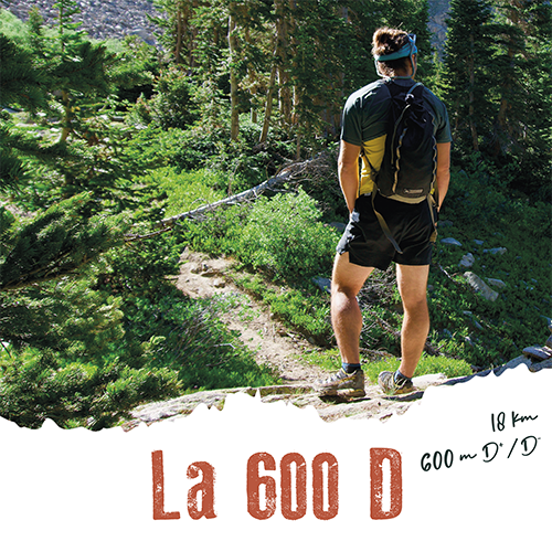 La 600 D